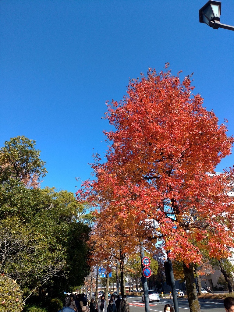 P_20190103_120420_vHDR_Autx.jpg - 20190103廣島